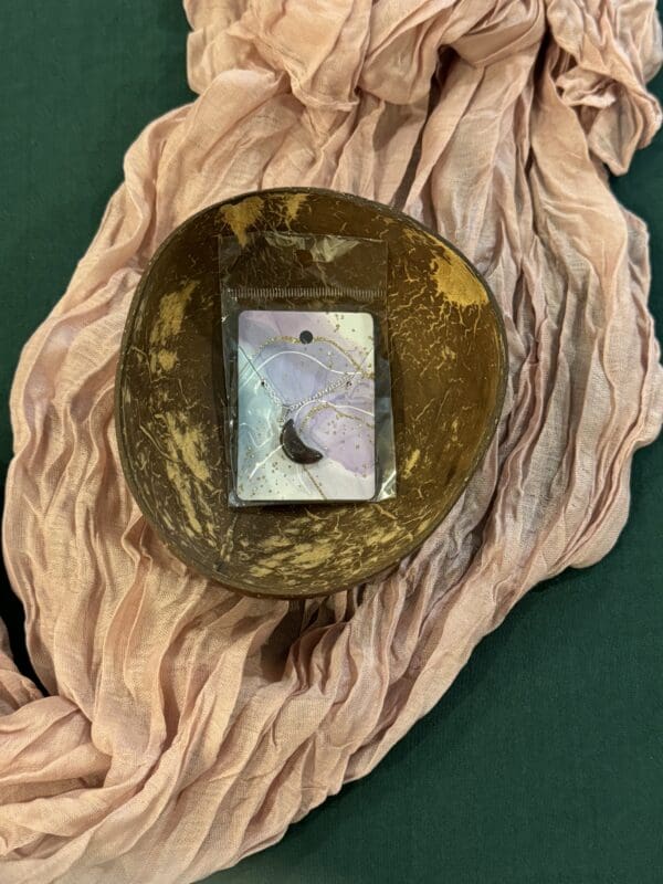 A close up of a shell with a picture on it